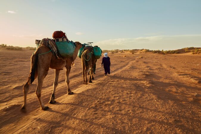 indigenous nomads of the sahara