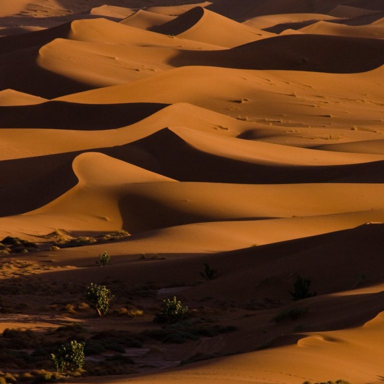 Marrakech Desert Tours